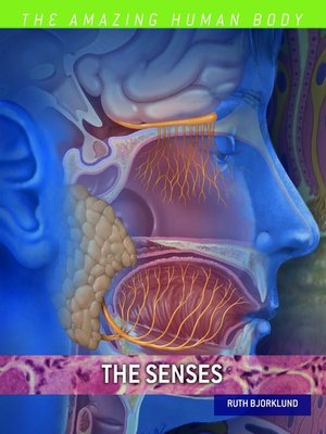 cover image of The Senses